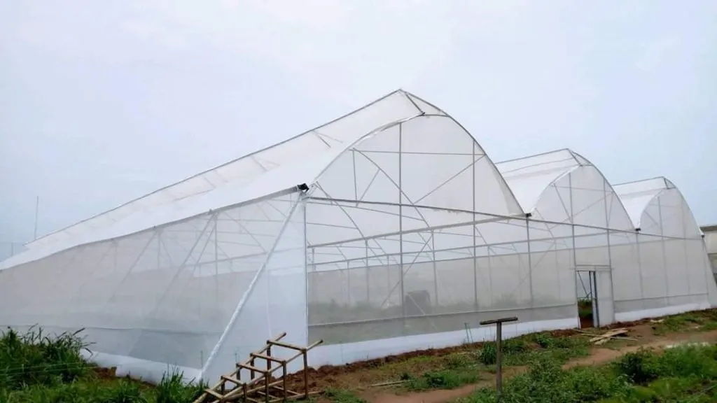 Pre-Galvanized Steel