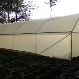 Pre-Galvanized Steel